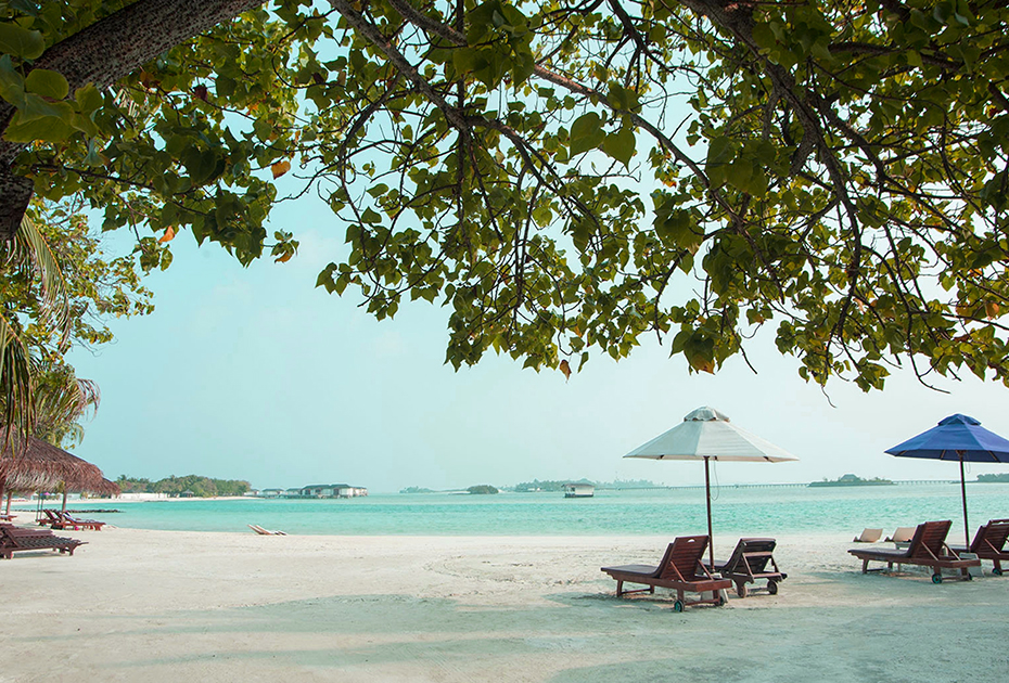Twin Centre India and Maldives Holiday 2